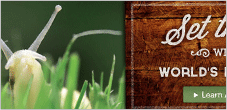 Potironne Company Web Design